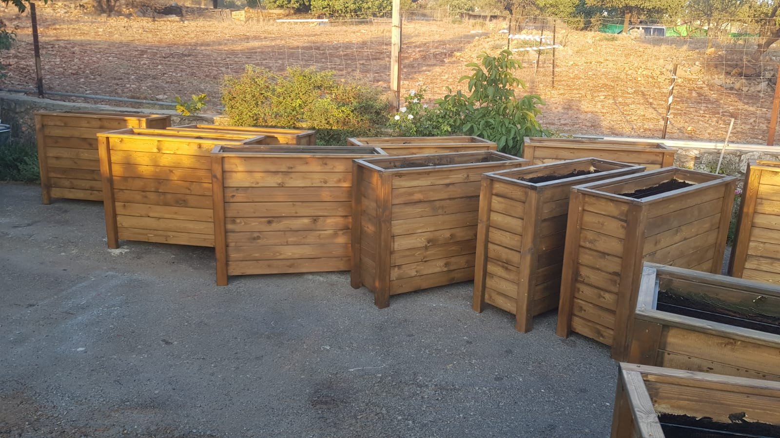 PHOTO-2025-08-14-05-41-08 5